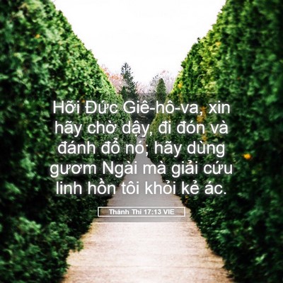 Picture 05 - Thánh Thi 17:13 VIE - Hỡi Đức Giê-hô-va, xin hãy chờ dậy, - Bible Verse Picture