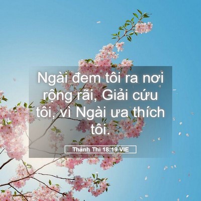 Picture 05 - Thánh Thi 18:19 VIE - Ngài đem tôi ra nơi rộng rãi, Giải cứu - Bible Verse Picture
