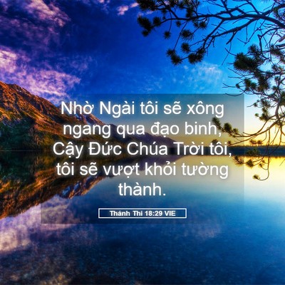 Picture 05 - Thánh Thi 18:29 VIE - Nhờ Ngài tôi sẽ xông ngang qua đạo - Bible Verse Picture