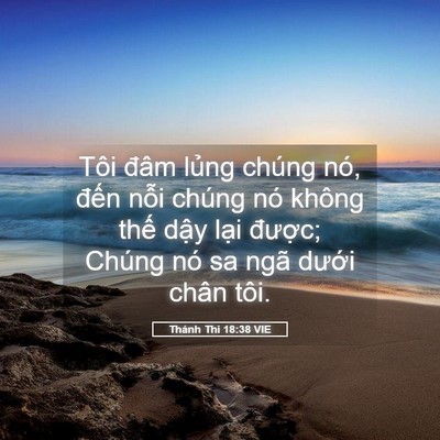 Picture 05 - Thánh Thi 18:38 VIE - Tôi đâm lủng chúng nó, đến nỗi chúng - Bible Verse Picture