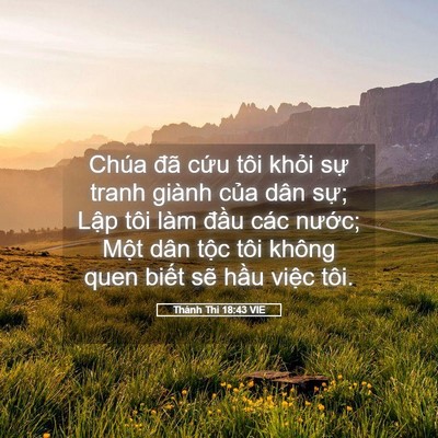 Picture 05 - Thánh Thi 18:43 VIE - Chúa đã cứu tôi khỏi sự tranh giành - Bible Verse Picture
