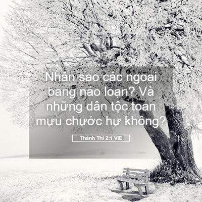 Picture 05 - Thánh Thi 2:1 VIE - Nhân sao các ngoại bang náo loạn? Và - Bible Verse Picture