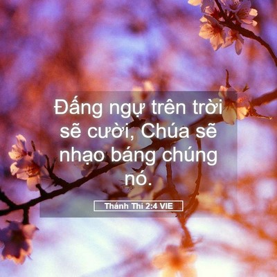 Picture 05 - Thánh Thi 2:4 VIE - Đấng ngự trên trời sẽ cười, Chúa - Bible Verse Picture