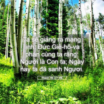 Picture 05 - Thánh Thi 2:7 VIE - Ta sẽ giảng ra mạng lịnh: Đức - Bible Verse Picture