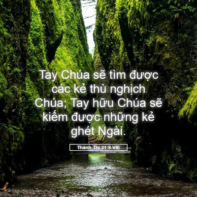 Picture 05 - Thánh Thi 21:8 VIE - Tay Chúa sẽ tìm được các kẻ thù - Bible Verse Picture