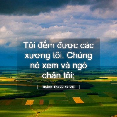 Picture 05 - Thánh Thi 22:17 VIE - Tôi đếm được các xương tôi. Chúng - Bible Verse Picture