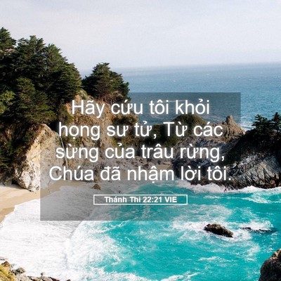 Picture 05 - Thánh Thi 22:21 VIE - Hãy cứu tôi khỏi họng sư tử, Từ các - Bible Verse Picture