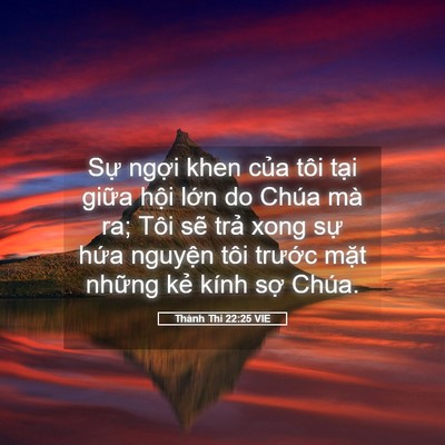 Picture 05 - Thánh Thi 22:25 VIE - Sự ngợi khen của tôi tại giữa hội - Bible Verse Picture