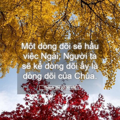 Picture 05 - Thánh Thi 22:30 VIE - Một dòng dõi sẽ hầu việc Ngài; - Bible Verse Picture