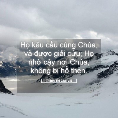 Picture 05 - Thánh Thi 22:5 VIE - Họ kêu cầu cùng Chúa, và được giải - Bible Verse Picture