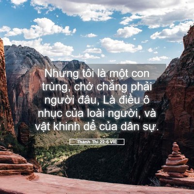 Picture 05 - Thánh Thi 22:6 VIE - Nhưng tôi là một con trùng, chớ chẳng - Bible Verse Picture