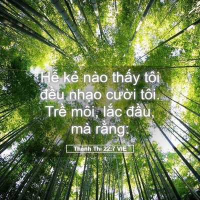 Picture 05 - Thánh Thi 22:7 VIE - Hễ kẻ nào thấy tôi đều nhạo cười - Bible Verse Picture