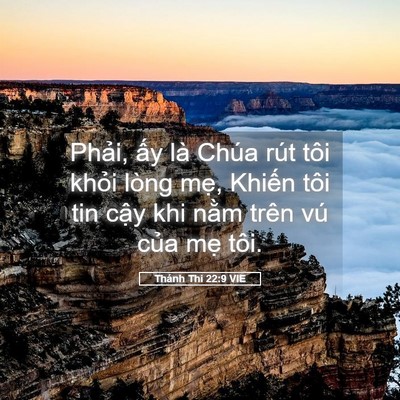 Picture 05 - Thánh Thi 22:9 VIE - Phải, ấy là Chúa rút tôi khỏi lòng - Bible Verse Picture