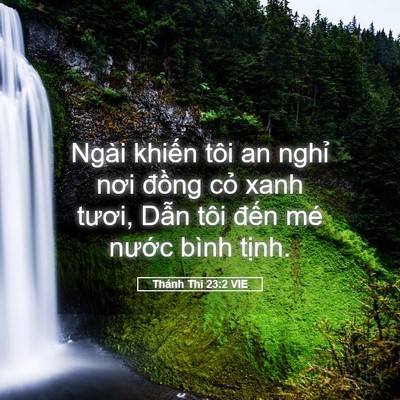 Picture 05 - Thánh Thi 23:2 VIE - Ngài khiến tôi an nghỉ nơi đồng cỏ - Bible Verse Picture