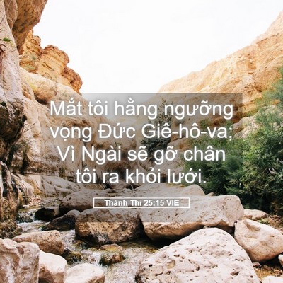 Picture 05 - Thánh Thi 25:15 VIE - Mắt tôi hằng ngưỡng vọng Đức - Bible Verse Picture