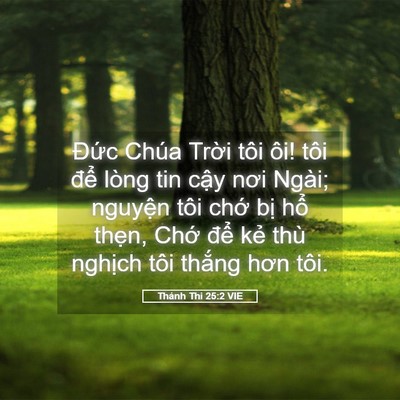 Picture 05 - Thánh Thi 25:2 VIE - Đức Chúa Trời tôi ôi! tôi để lòng - Bible Verse Picture