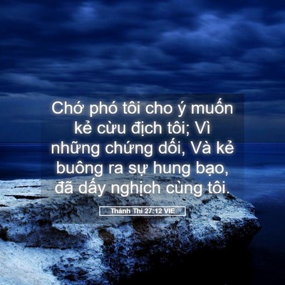 Picture 05 - Thánh Thi 27:12 VIE - Chớ phó tôi cho ý muốn kẻ cừu địch - Bible Verse Picture