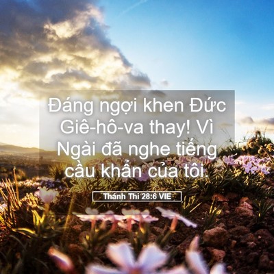 Picture 05 - Thánh Thi 28:6 VIE - Đáng ngợi khen Đức Giê-hô-va thay! Vì - Bible Verse Picture