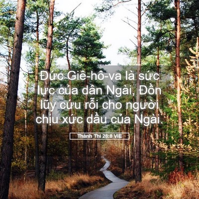 Picture 05 - Thánh Thi 28:8 VIE - Đức Giê-hô-va là sức lực của dân - Bible Verse Picture