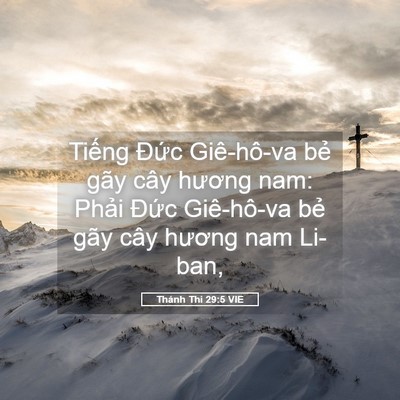 Picture 05 - Thánh Thi 29:5 VIE - Tiếng Đức Giê-hô-va bẻ gãy cây hương - Bible Verse Picture