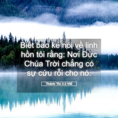 Picture 05 - Thánh Thi 3:2 VIE - Biết bao kẻ nói về linh hồn tôi rằng: - Bible Verse Picture
