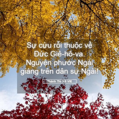Picture 05 - Thánh Thi 3:8 VIE - Sự cứu rỗi thuộc về Đức Giê-hô-va. - Bible Verse Picture