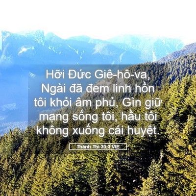 Picture 05 - Thánh Thi 30:3 VIE - Hỡi Đức Giê-hô-va, Ngài đã đem linh - Bible Verse Picture