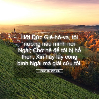 Picture 05 - Thánh Thi 31:1 VIE - Hỡi Đức Giê-hô-va, tôi nương náu mình - Bible Verse Picture