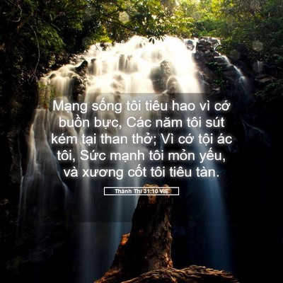 Picture 05 - Thánh Thi 31:10 VIE - Mạng sống tôi tiêu hao vì cớ buồn - Bible Verse Picture