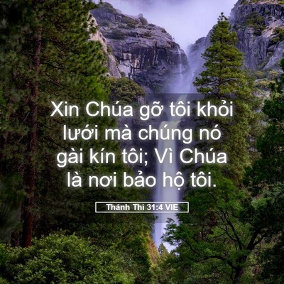 Picture 05 - Thánh Thi 31:4 VIE - Xin Chúa gỡ tôi khỏi lưới mà chúng nó - Bible Verse Picture