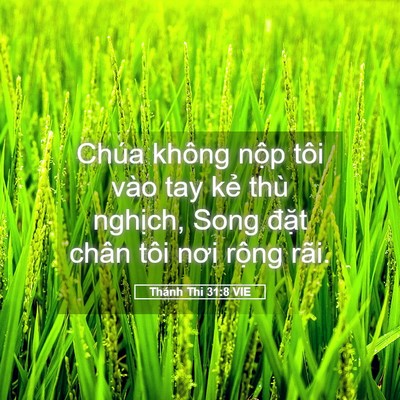 Picture 05 - Thánh Thi 31:8 VIE - Chúa không nộp tôi vào tay kẻ thù - Bible Verse Picture