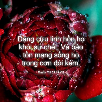 Picture 05 - Thánh Thi 33:19 VIE - Đặng cứu linh hồn họ khỏi sự chết, - Bible Verse Picture