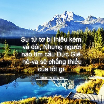 Picture 05 - Thánh Thi 34:10 VIE - Sư tử tơ bị thiếu kém, và đói; Nhưng - Bible Verse Picture