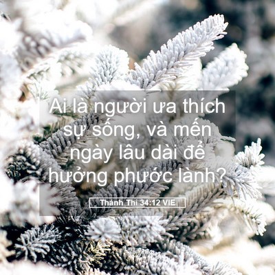 Picture 05 - Thánh Thi 34:12 VIE - Ai là người ưa thích sự sống, và mến - Bible Verse Picture