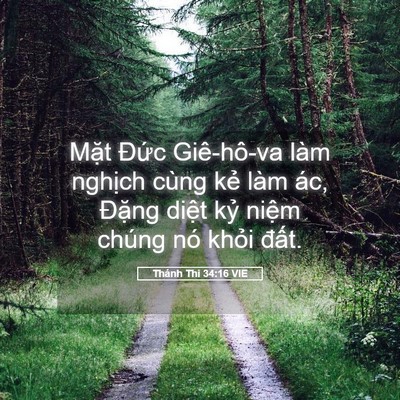Picture 05 - Thánh Thi 34:16 VIE - Mặt Đức Giê-hô-va làm nghịch cùng kẻ - Bible Verse Picture