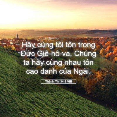 Picture 05 - Thánh Thi 34:3 VIE - Hãy cùng tôi tôn trọng Đức Giê-hô-va, - Bible Verse Picture