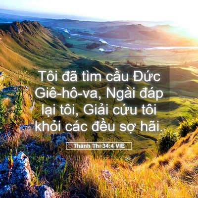 Picture 05 - Thánh Thi 34:4 VIE - Tôi đã tìm cầu Đức Giê-hô-va, Ngài - Bible Verse Picture