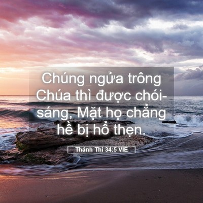 Picture 05 - Thánh Thi 34:5 VIE - Chúng ngửa trông Chúa thì được - Bible Verse Picture