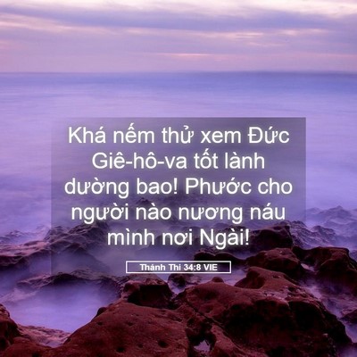 Picture 05 - Thánh Thi 34:8 VIE - Khá nếm thử xem Đức Giê-hô-va tốt - Bible Verse Picture