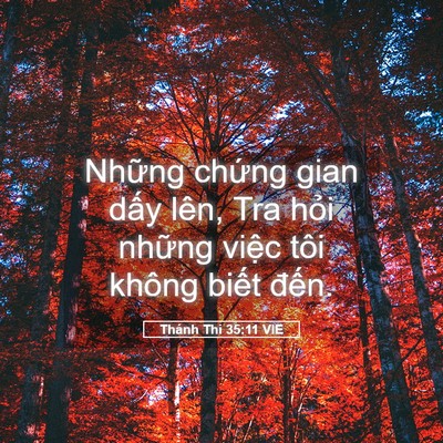Picture 05 - Thánh Thi 35:11 VIE - Những chứng gian dấy lên, Tra hỏi - Bible Verse Picture