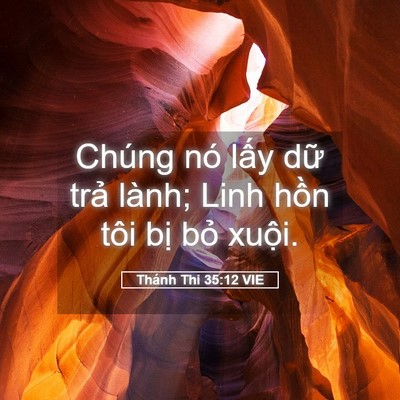 Picture 05 - Thánh Thi 35:12 VIE - Chúng nó lấy dữ trả lành; Linh hồn - Bible Verse Picture