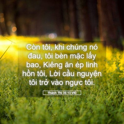 Picture 05 - Thánh Thi 35:13 VIE - Còn tôi, khi chúng nó đau, tôi bèn mặc - Bible Verse Picture
