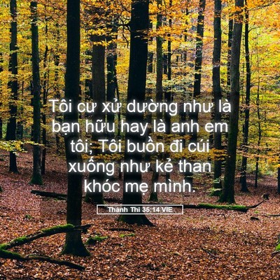 Picture 05 - Thánh Thi 35:14 VIE - Tôi cư xử dường như là bạn hữu hay - Bible Verse Picture