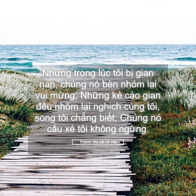 Picture 05 - Thánh Thi 35:15 VIE - Nhưng trong lúc tôi bị gian nan, chúng nó - Bible Verse Picture