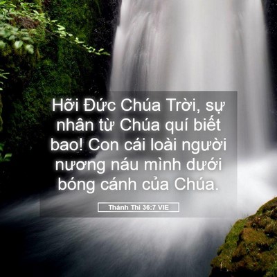 Picture 05 - Thánh Thi 36:7 VIE - Hỡi Đức Chúa Trời, sự nhân từ Chúa - Bible Verse Picture