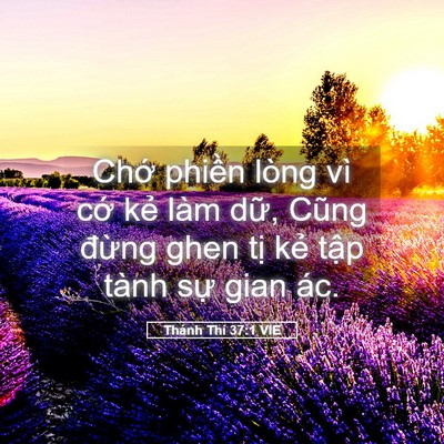 Picture 05 - Thánh Thi 37:1 VIE - Chớ phiền lòng vì cớ kẻ làm dữ, - Bible Verse Picture