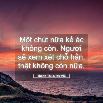 Picture 05 - Thánh Thi 37:10 VIE - Một chút nữa kẻ ác không còn. Ngươi - Bible Verse Picture