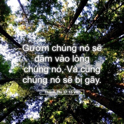 Picture 05 - Thánh Thi 37:15 VIE - Gươm chúng nó sẽ đâm vào lòng chúng - Bible Verse Picture