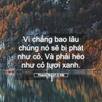 Picture 05 - Thánh Thi 37:2 VIE - Vì chẳng bao lâu chúng nó sẽ bị phát - Bible Verse Picture