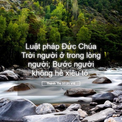 Picture 05 - Thánh Thi 37:31 VIE - Luật pháp Đức Chúa Trời người ở - Bible Verse Picture
